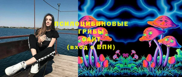марки lsd Богородицк