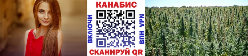 Шишки марихуана конопля  Армавир 